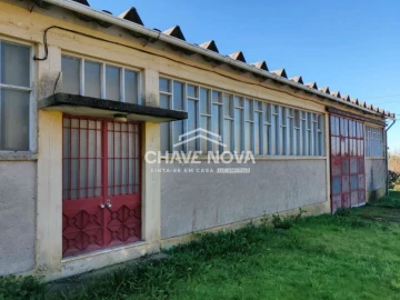 Armazém para Venda em São Roque