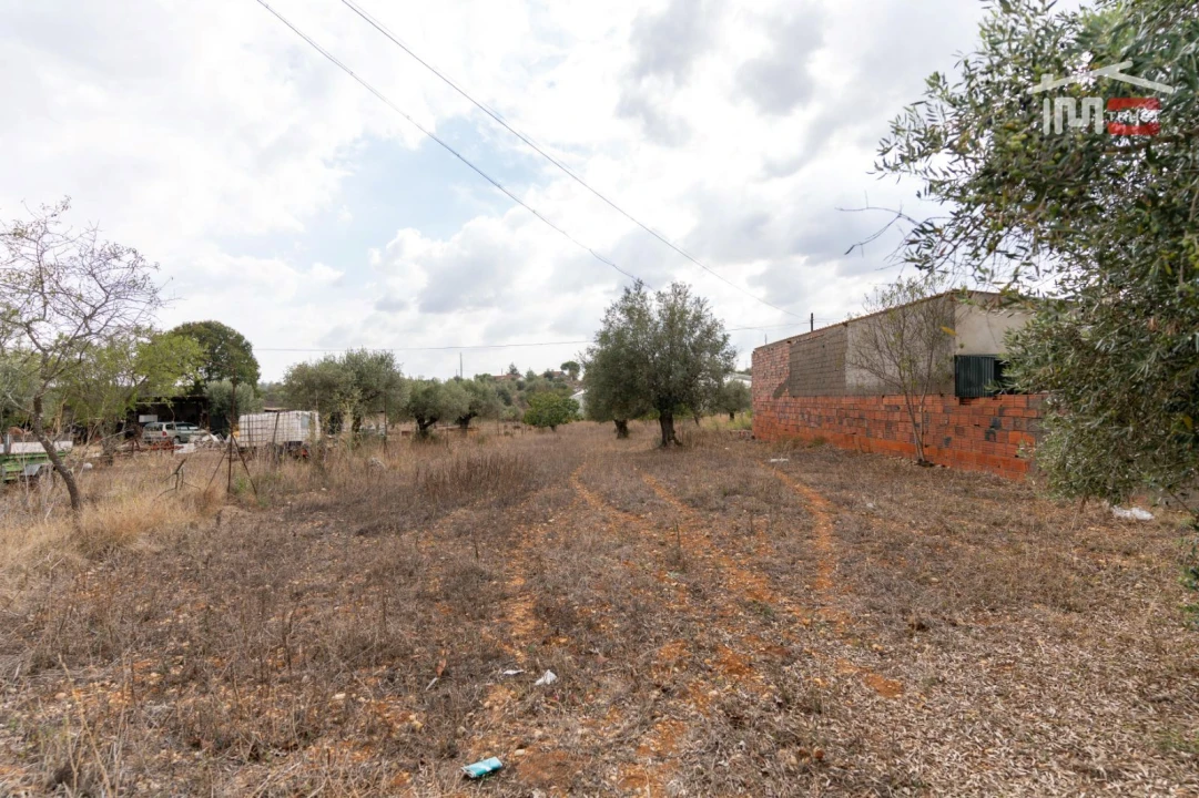 Terreno Misto para Venda em Assentiz Foto 2