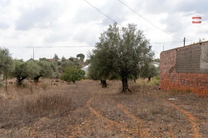 Terreno Misto para Venda em Assentiz