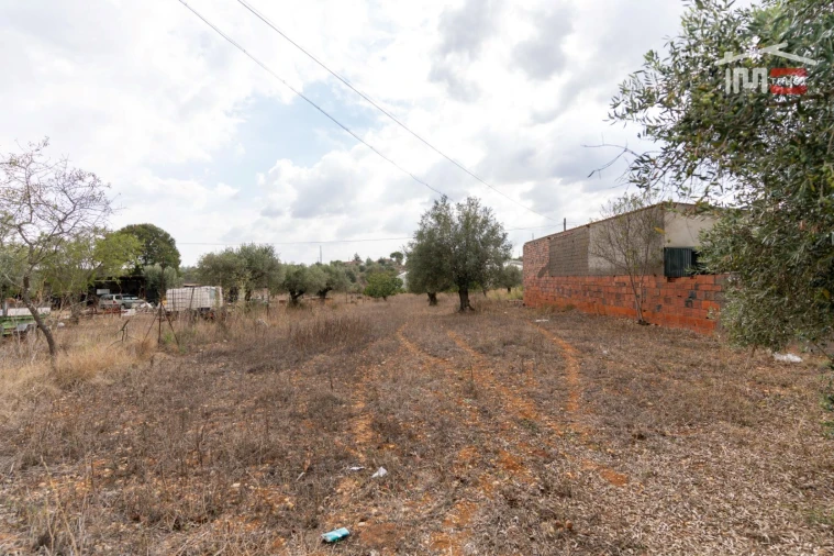 Terreno Misto para Venda em Assentiz Foto 2