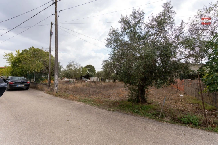 Terreno Misto para Venda em Assentiz Foto 3