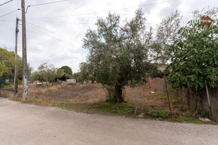 Terreno Misto para Venda em Assentiz Foto 4