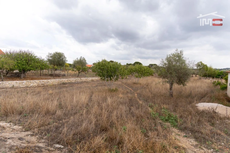 Terreno Misto para Venda em Assentiz Foto 8
