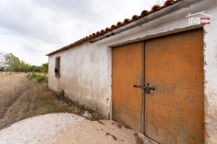 Terreno Misto para Venda em Assentiz Foto 11