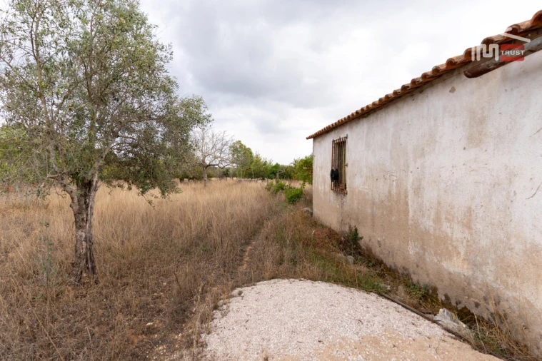 Terreno Misto para Venda em Assentiz Foto 12