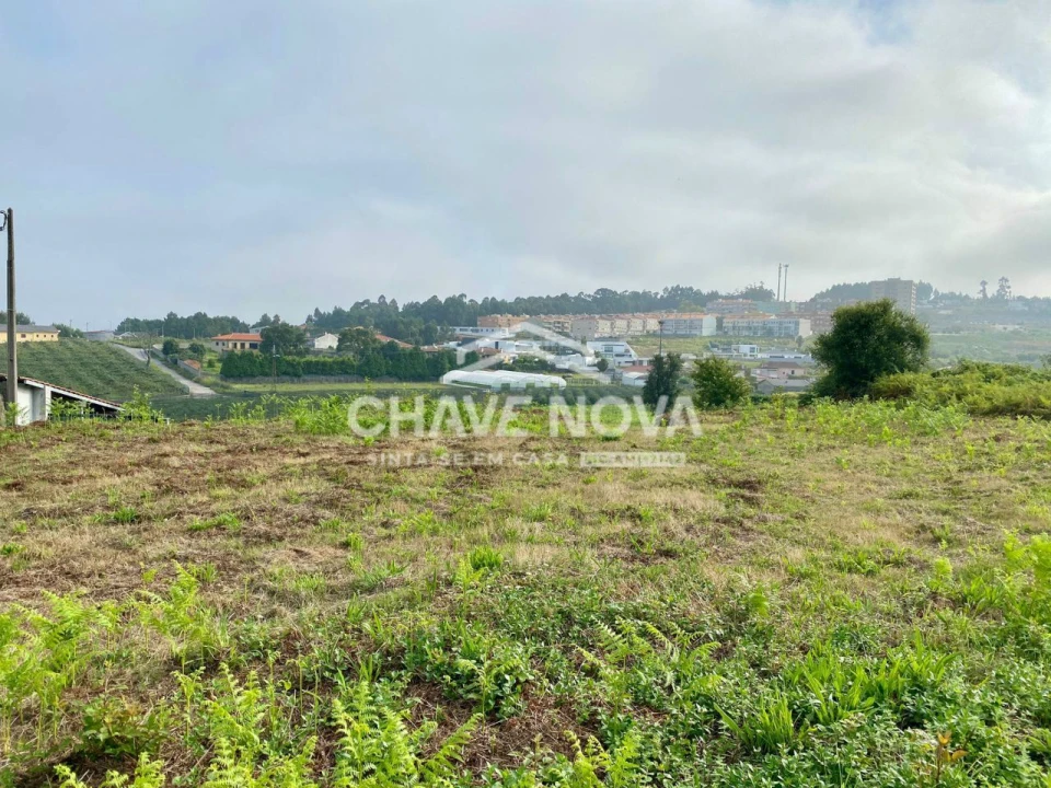 Terreno Misto para Venda em São João de Ver Foto 4