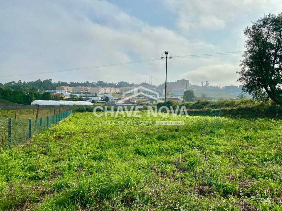 Terreno Misto para Venda em São João de Ver Foto 13