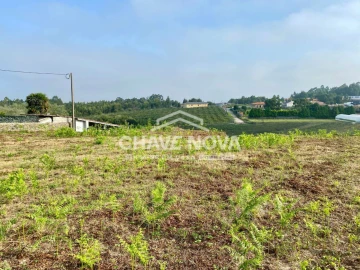 Terreno Misto para Venda em São João de Ver