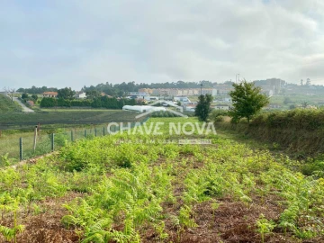 Terreno Misto para Venda em São João de Ver
