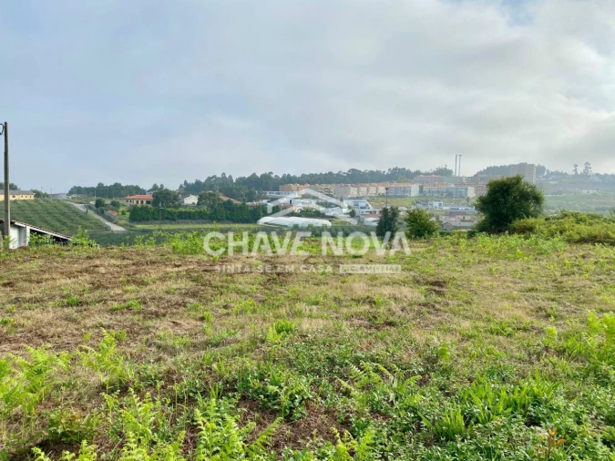 Terreno Misto para Venda em São João de Ver Foto 4