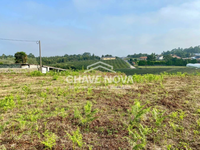 Terreno Misto para Venda em São João de Ver Foto 5