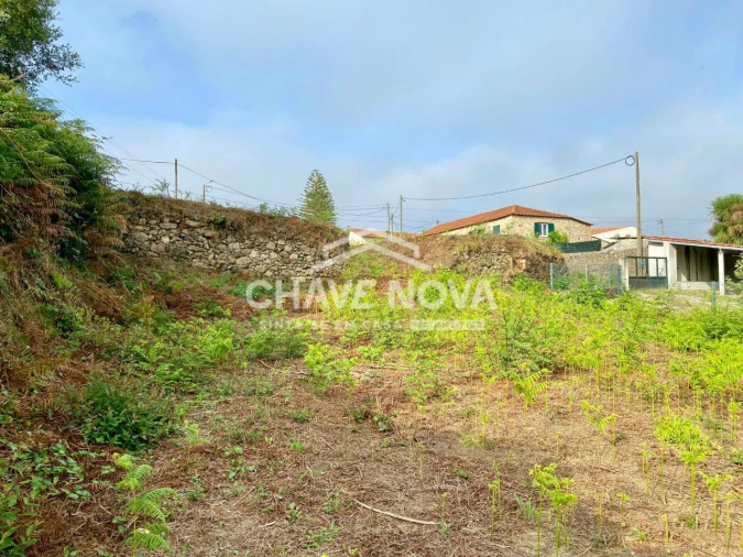Terreno Misto para Venda em São João de Ver Foto 8