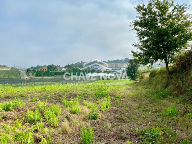 Terreno Misto para Venda em São João de Ver Foto 9