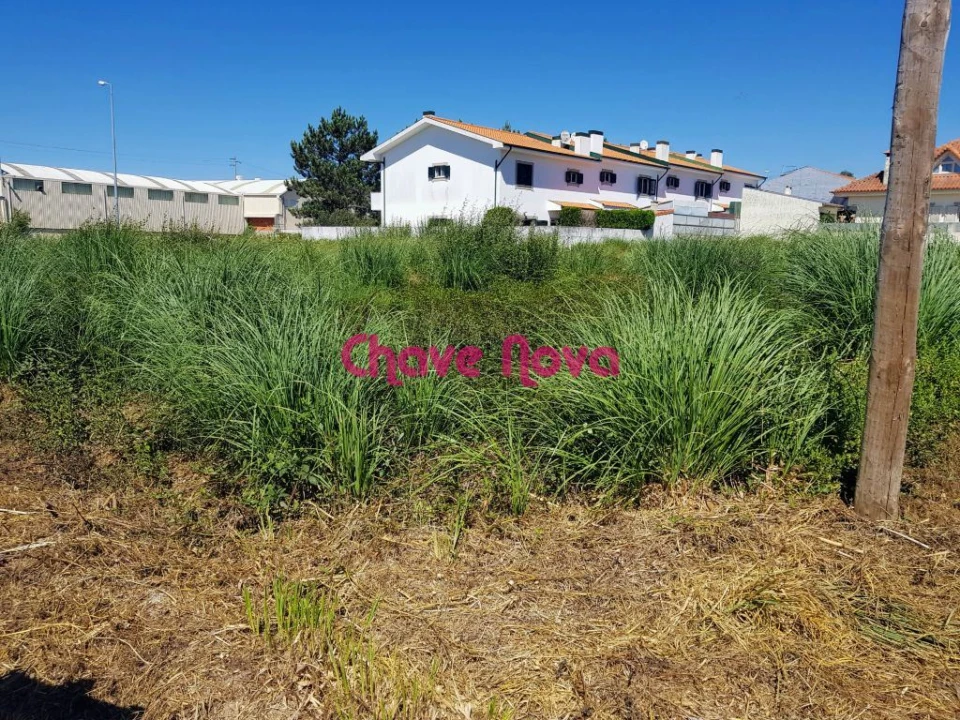 Terreno para Venda em São João de Ver Foto 1