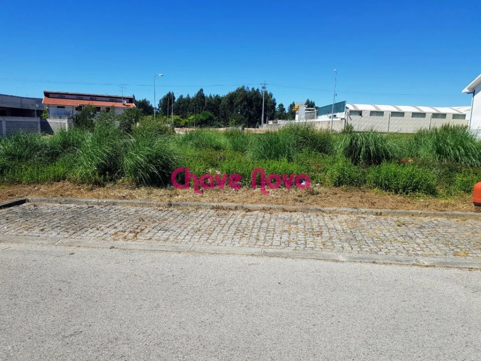 Terreno para Venda em São João de Ver Foto 2