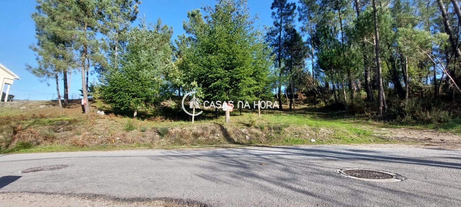 Terreno para Venda em Faíl e Vila Chã de Sá Foto 2