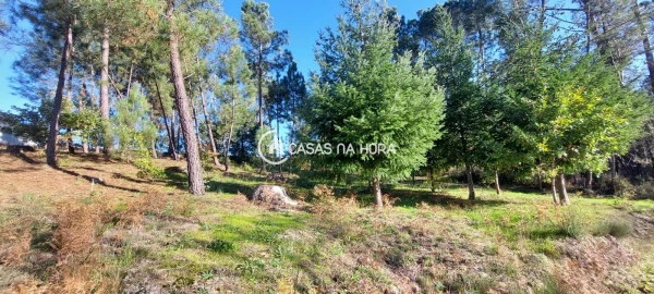 Terreno para Venda em Faíl e Vila Chã de Sá