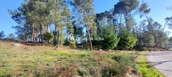 Terreno para Venda em Faíl e Vila Chã de Sá