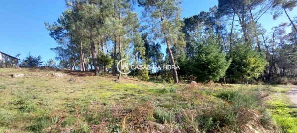 Terreno para Venda em Faíl e Vila Chã de Sá