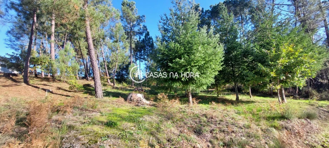 Terreno para Venda em Faíl e Vila Chã de Sá Foto 3