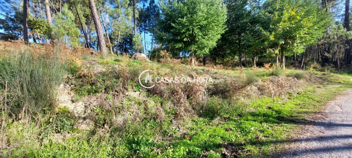 Terreno para Venda em Faíl e Vila Chã de Sá Foto 4