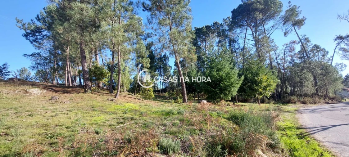 Terreno para Venda em Faíl e Vila Chã de Sá Foto 5