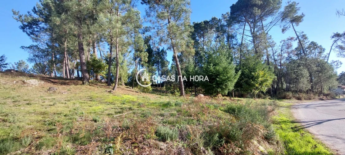 Terreno para Venda em Faíl e Vila Chã de Sá Foto 8