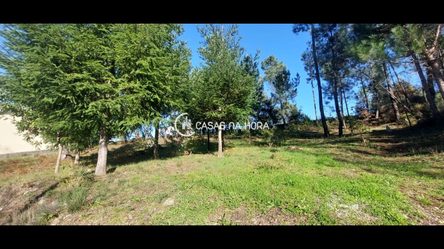 Terreno para Venda em Faíl e Vila Chã de Sá