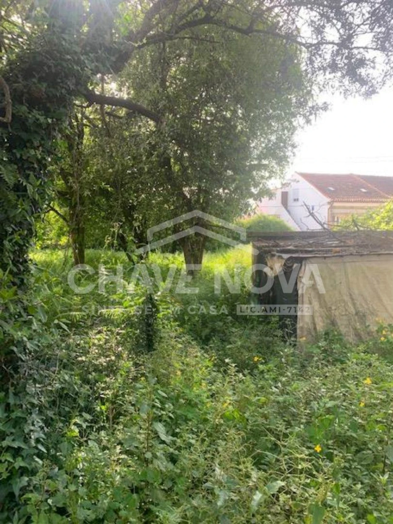 Terreno Misto para Venda em Pedrouços Foto 3