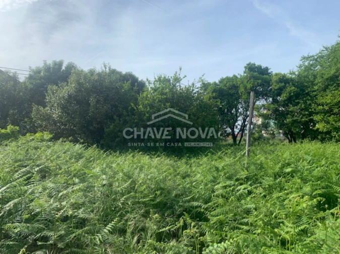 Terreno Misto para Venda em Pedrouços Foto 12