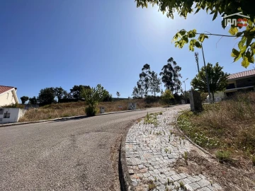 Terreno para Venda em Mouriscas