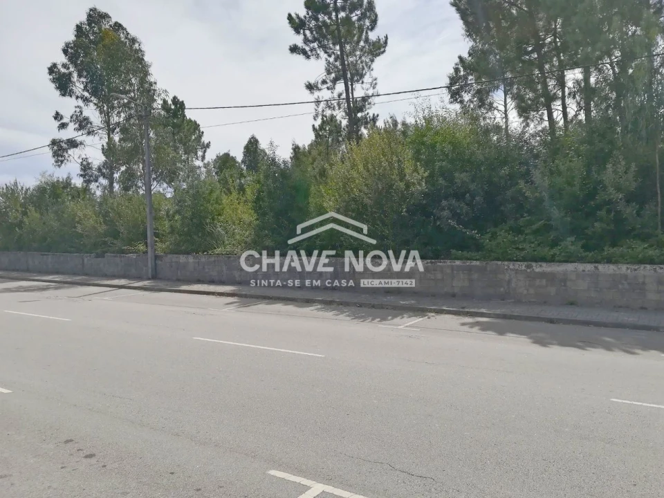 Terreno P/ Prédio para Venda em São João de Ver Foto 3