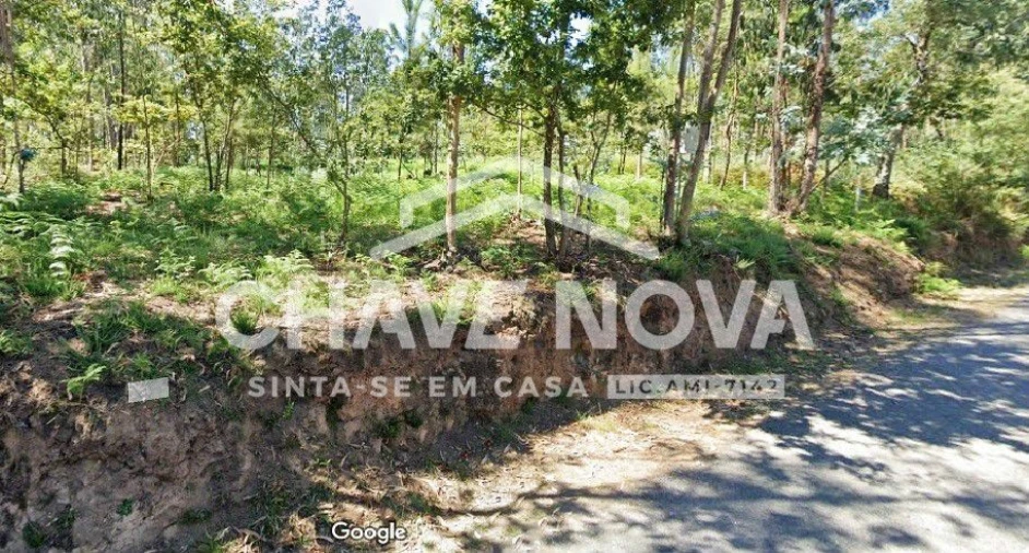Terreno Comércio / Armazém para Venda em Vila de Cucujães Foto 2