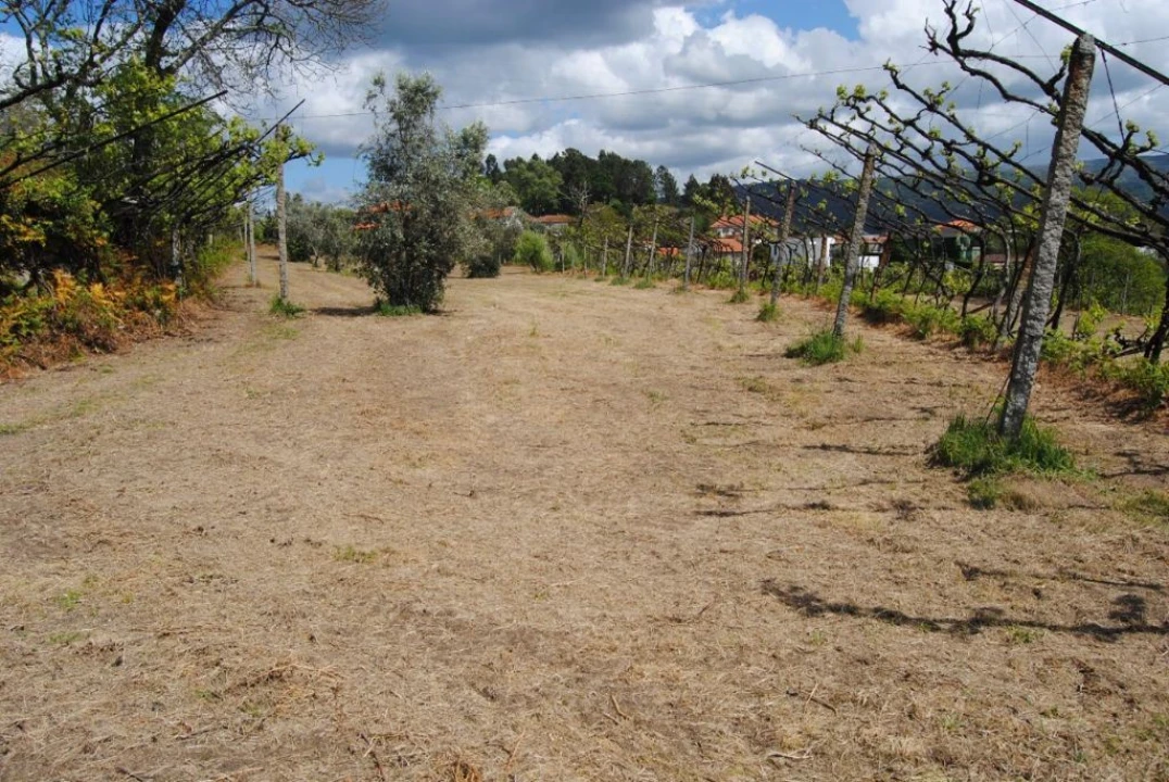 Quinta T3 para Venda em Salvador do Monte Foto 12