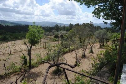 Quinta T3 para Venda em Salvador do Monte