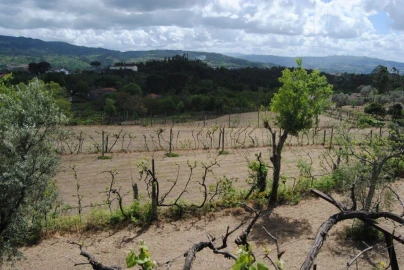 Quinta T3 para Venda em Salvador do Monte