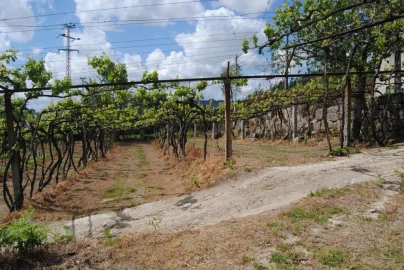 Quinta T3 para Venda em Salvador do Monte