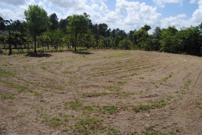 Quinta T3 para Venda em Salvador do Monte