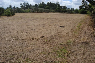 Quinta T3 para Venda em Salvador do Monte