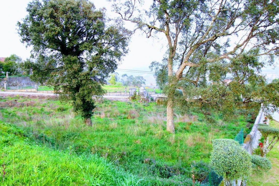 Terreno para Venda em Arcozelo Foto 3