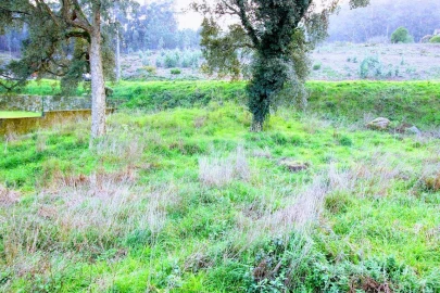 Terreno para Venda em Arcozelo