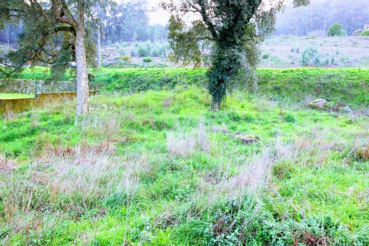 Terreno para Venda em Arcozelo Foto 9