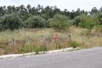 Terreno Misto para Venda em Caxarias