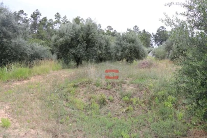 Terreno Misto para Venda em Caxarias