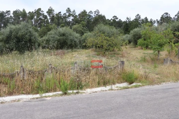 Terreno Misto para Venda em Caxarias Foto 3