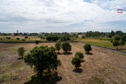 Terreno Misto para Venda em Vale de Santarem