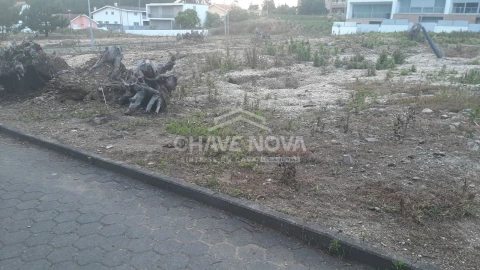 Terreno P/ Prédio para Venda em Madalena