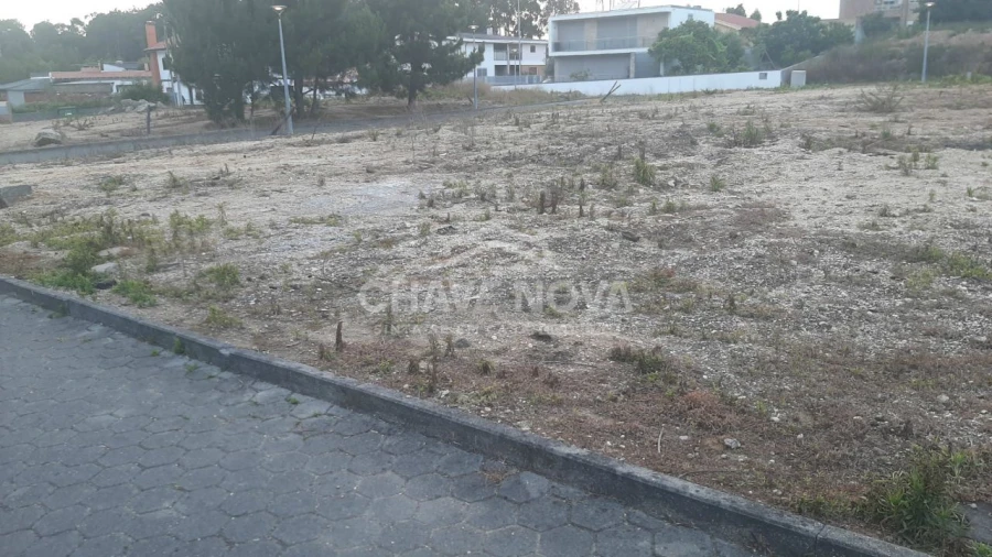 Terreno P/ Prédio para Venda em Madalena Foto 5