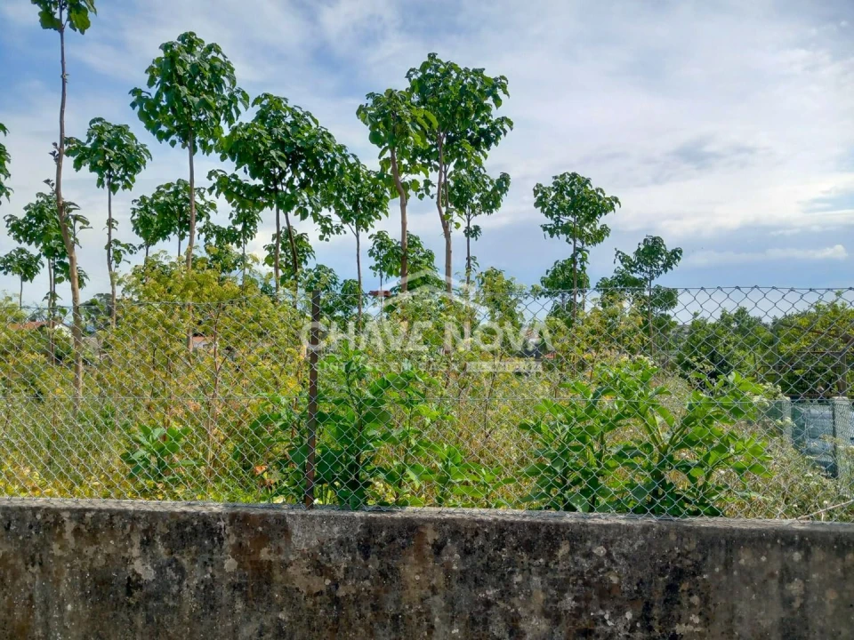Terreno Agricola ou Rústico para Venda em Argoncilhe Foto 2