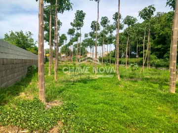 Terreno Agricola ou Rústico para Venda em Argoncilhe